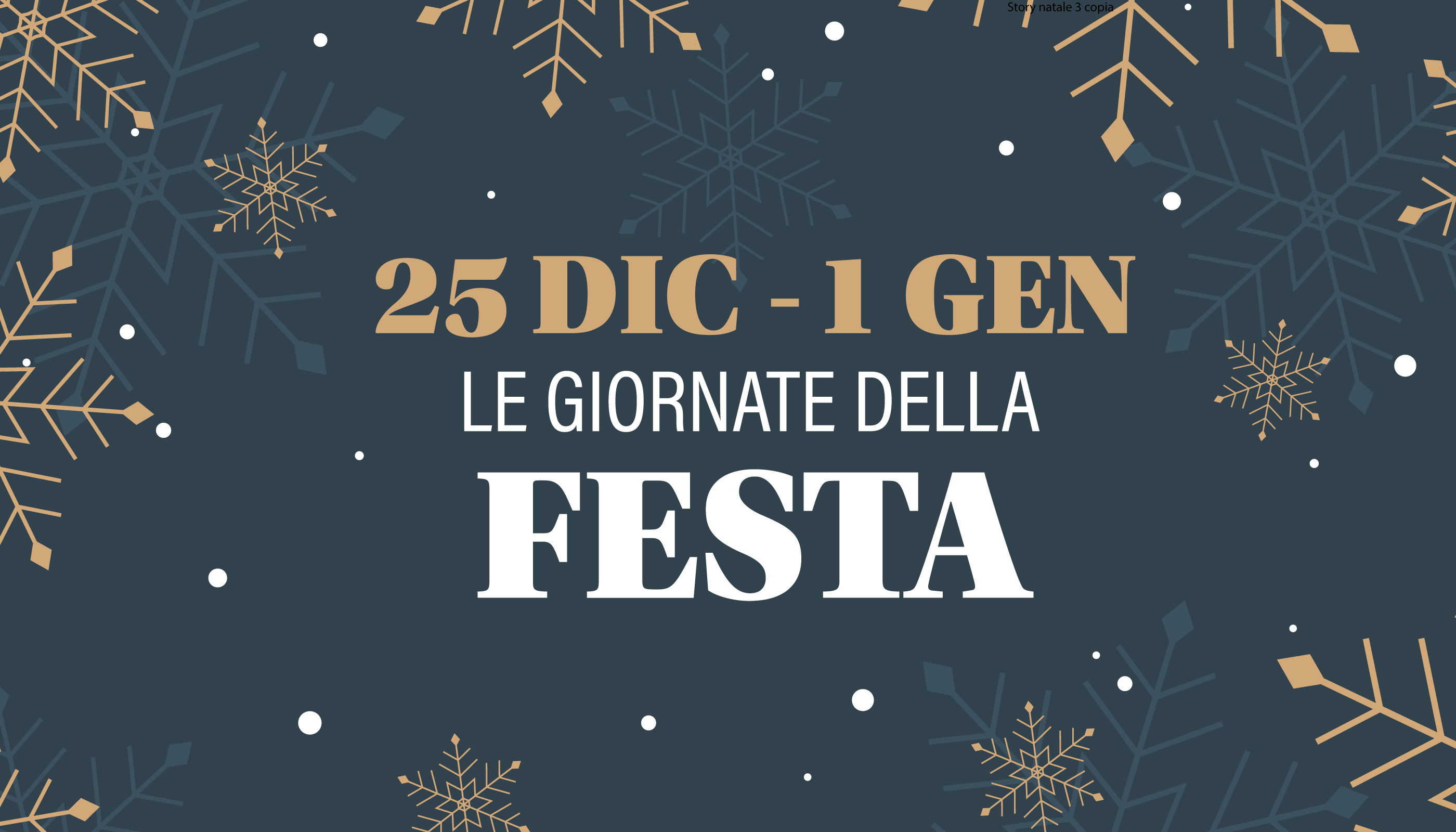 25 DIC e 1 GEN - Le giornate della FESTA